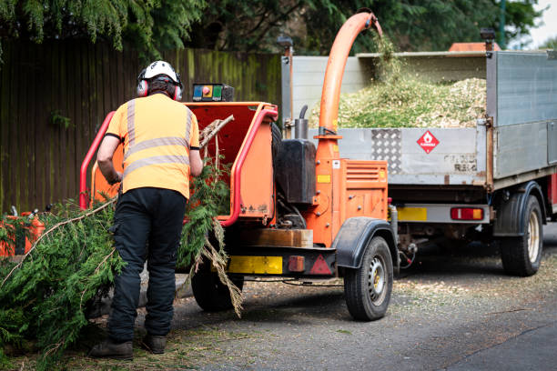 Lawn Pest Prevention in Green Island, NY