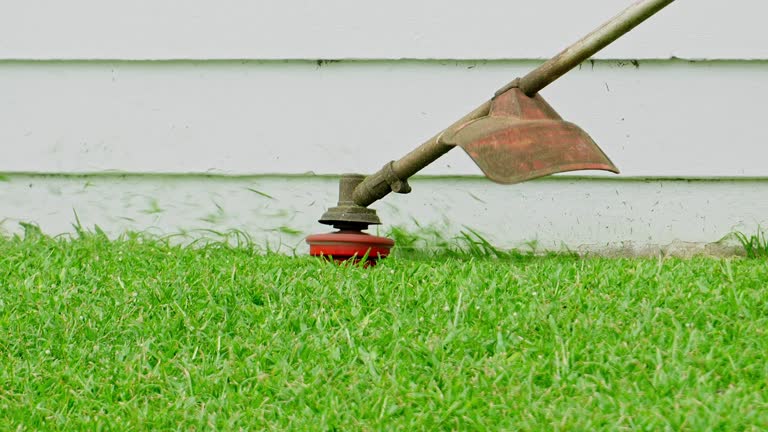 Best Pest Control for Lawns  in Green Island, NY